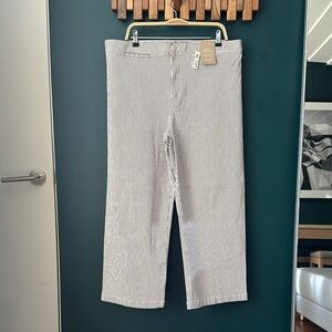 NWT Madewell Blue and White Striped Emmett Wide-Leg Pants Cropped